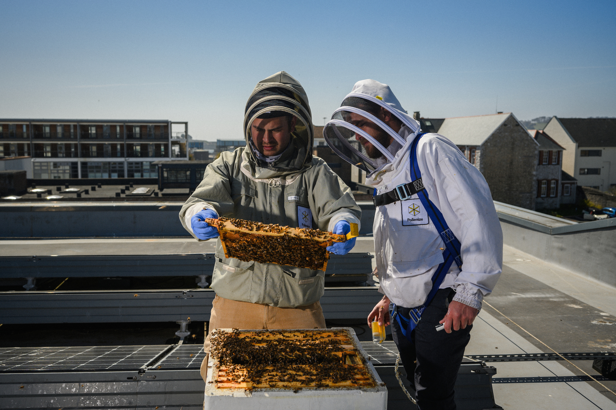 Pollenize Genesis Apiary Image Credit Pollenize