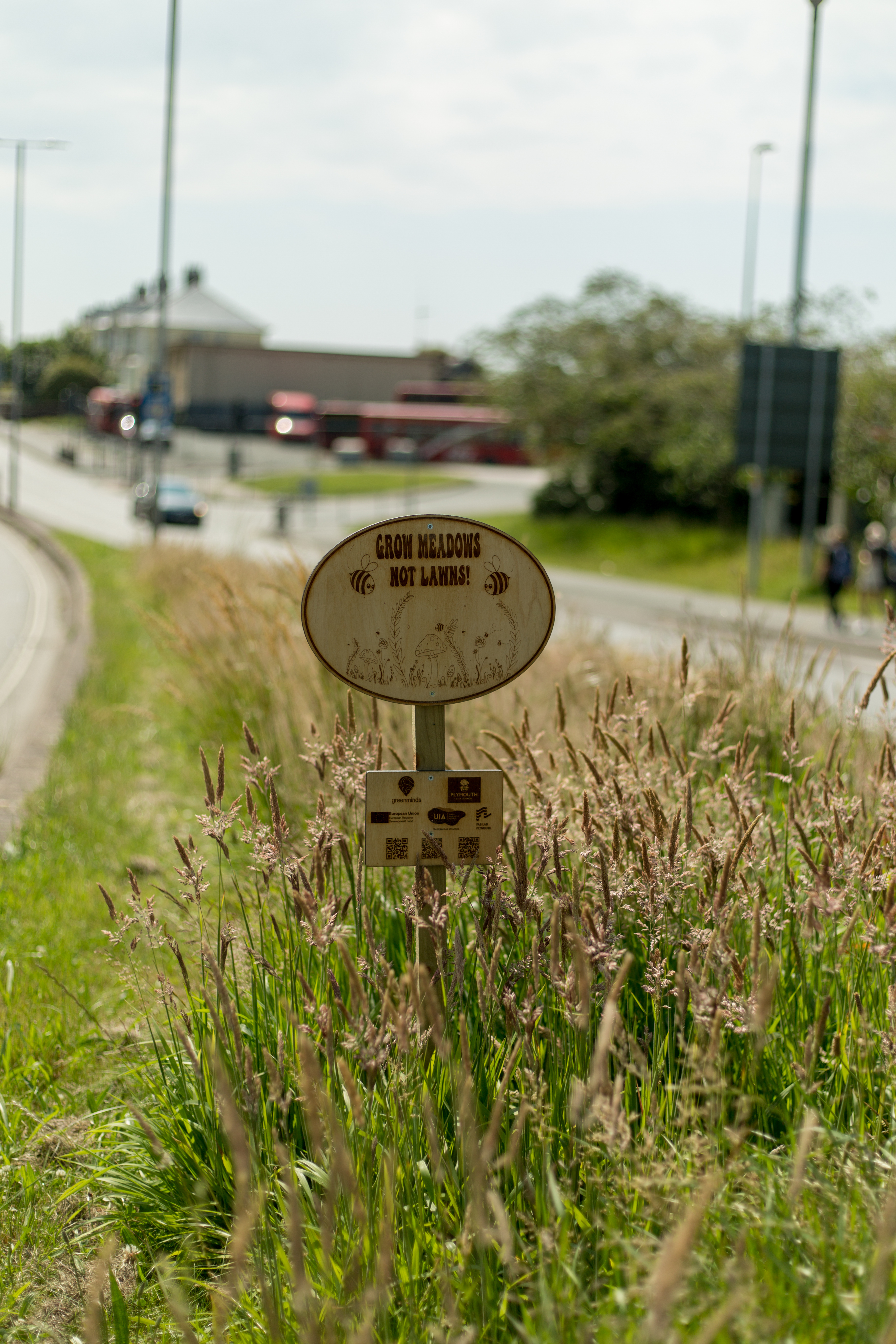 Wildflower meadow sign designed by Eve Newman first year UAL Level 3 Extended Diploma Art Design student at Plymouth College of Art Image Credit Ray Goodwin